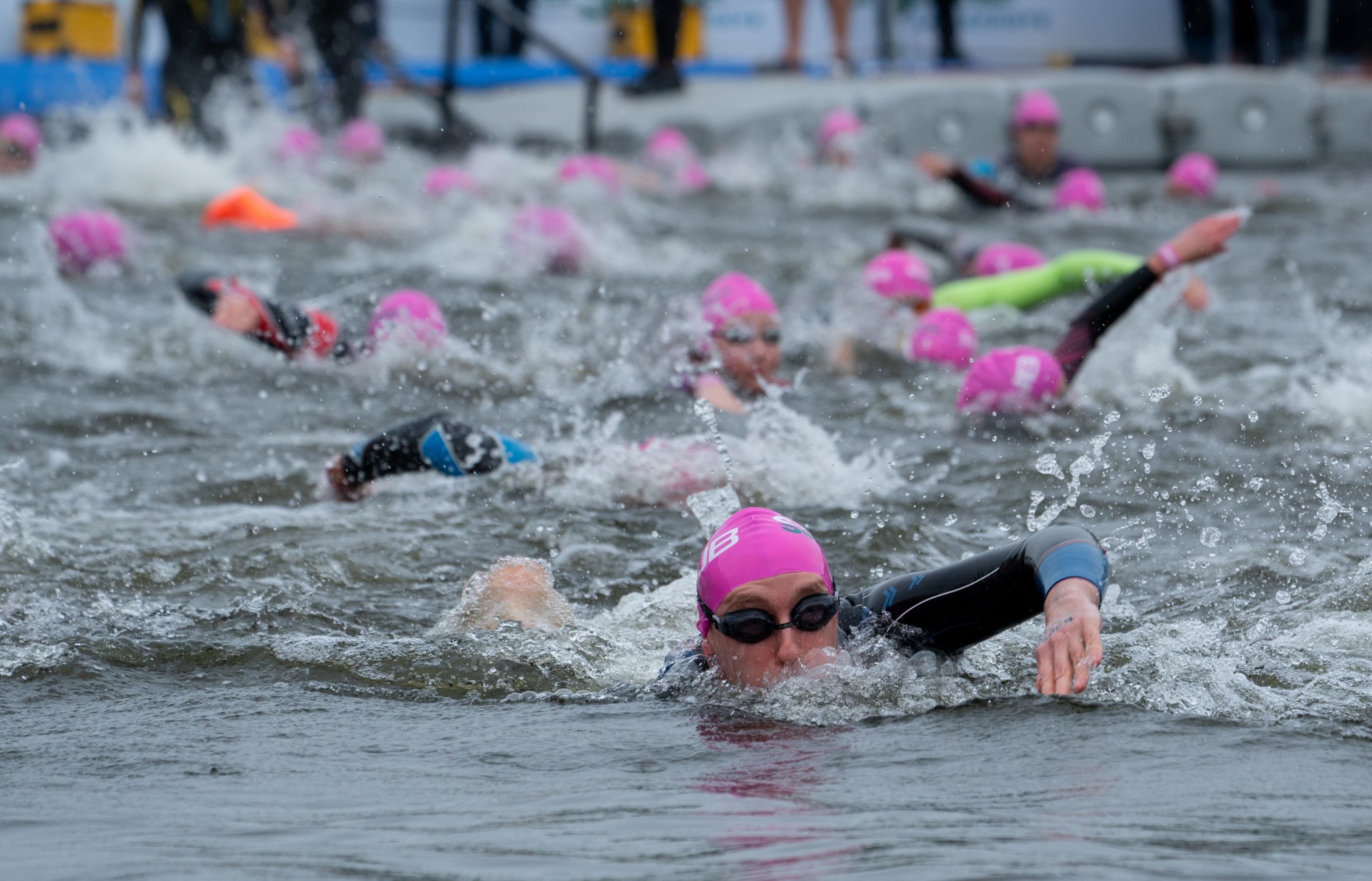 people swimming in the serpentine with pink caps