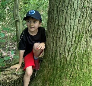 Boy in red shorts in tree