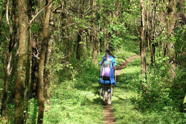 people trekking