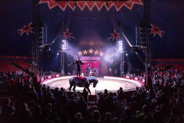 zippos circus