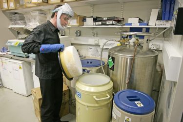 Man in a Laboratory