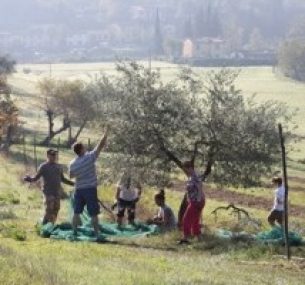 green field and kids