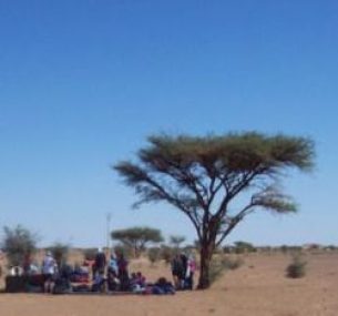 People sitting by a tree in the desert