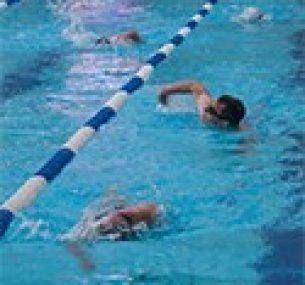 Swimmers in a swimming lane