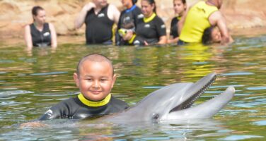 dyaln with dolphine