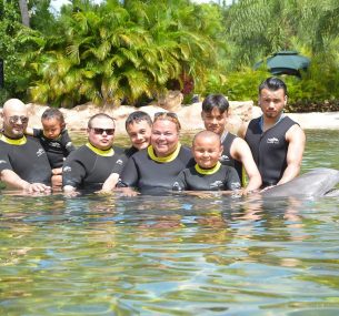 Swimming with Dolphins