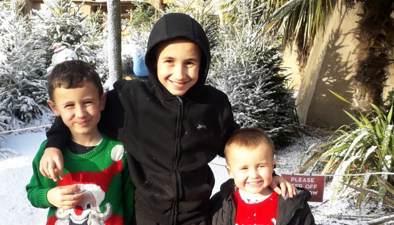 three boys with christmas trees