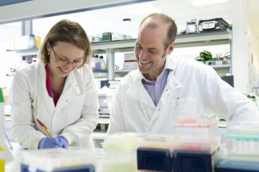 Researchers in the lab