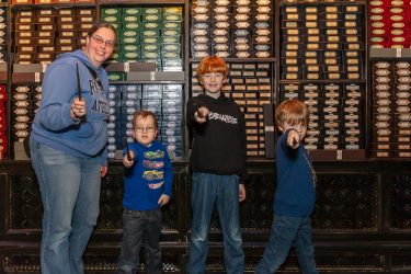 a family with wands from harry potter