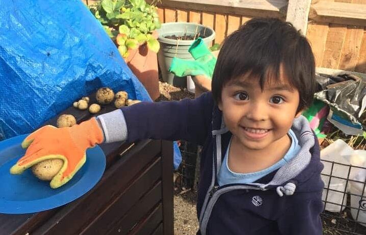 Boy in red wellies holding a potato