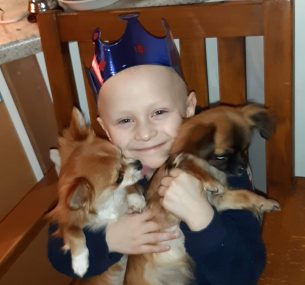 Boy with blue crown and two dogs