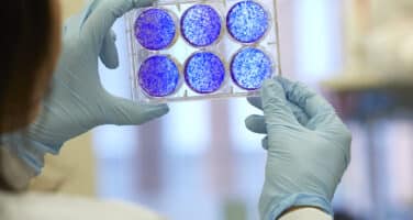 Cells on a plate science research