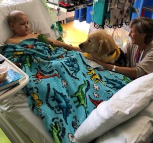 Jesse in intensive care just woken up with a special visit from Quinn one of the amazing therapy dogs at Southampton