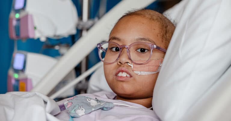 Original image of Ameia optimised