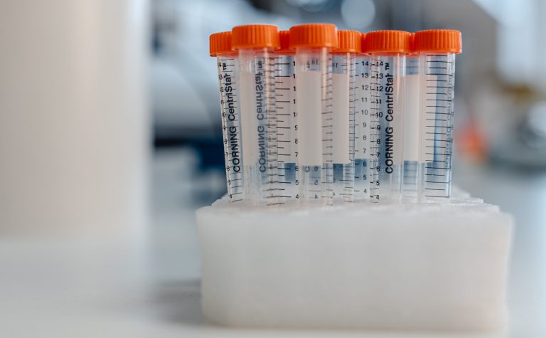 centrifuge tubes with orange caps. research