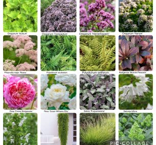 collage of flowers 3