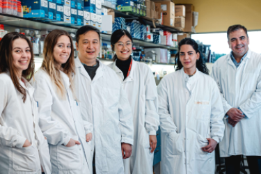 research team